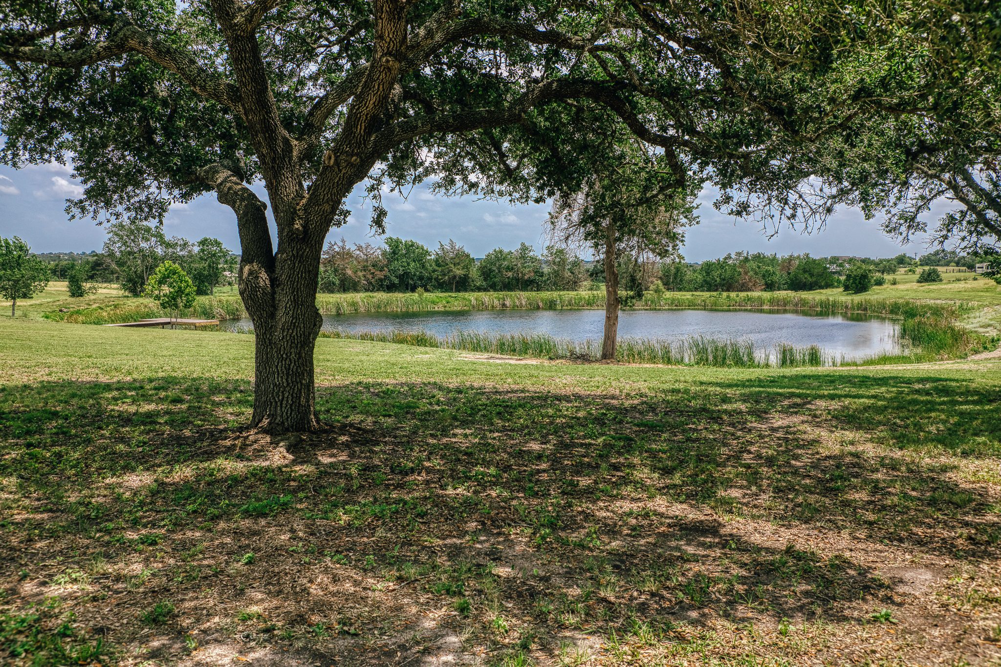 Water and live oak framing — The Clearing, Burton Texas