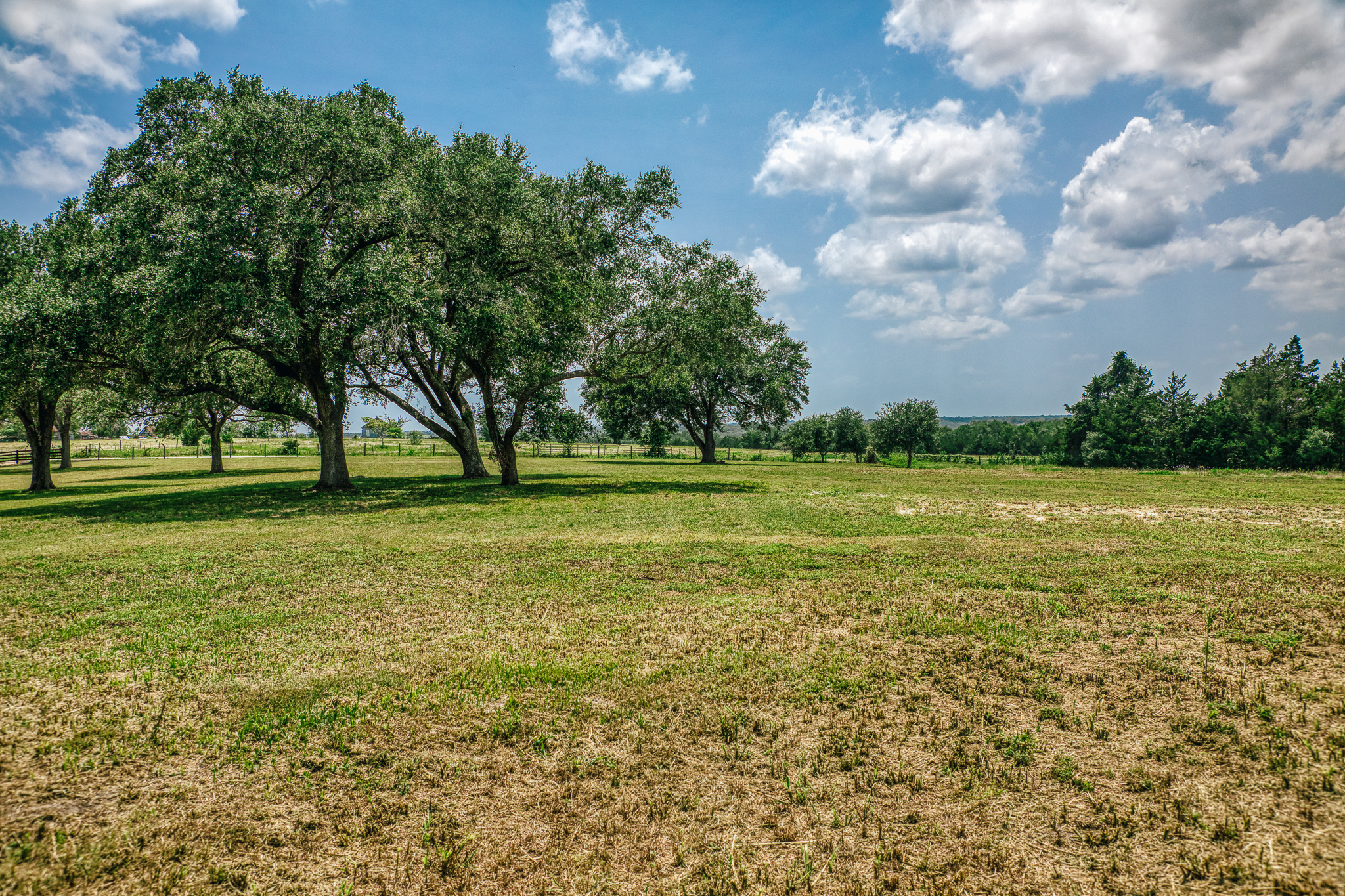 Pond viewed between two mature live oaks — Lot 3, The Clearing
