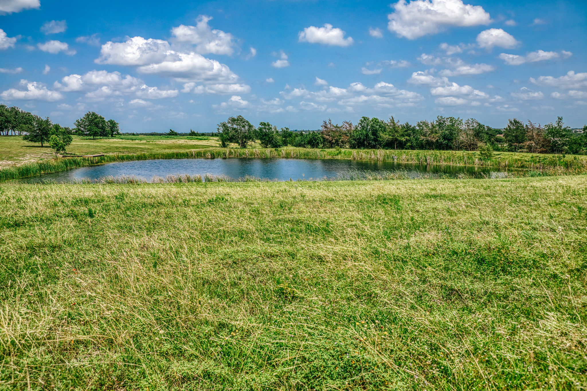 Lot 3 — mature pond, live oaks, and open pasture at The Clearing, Washington County, Texas