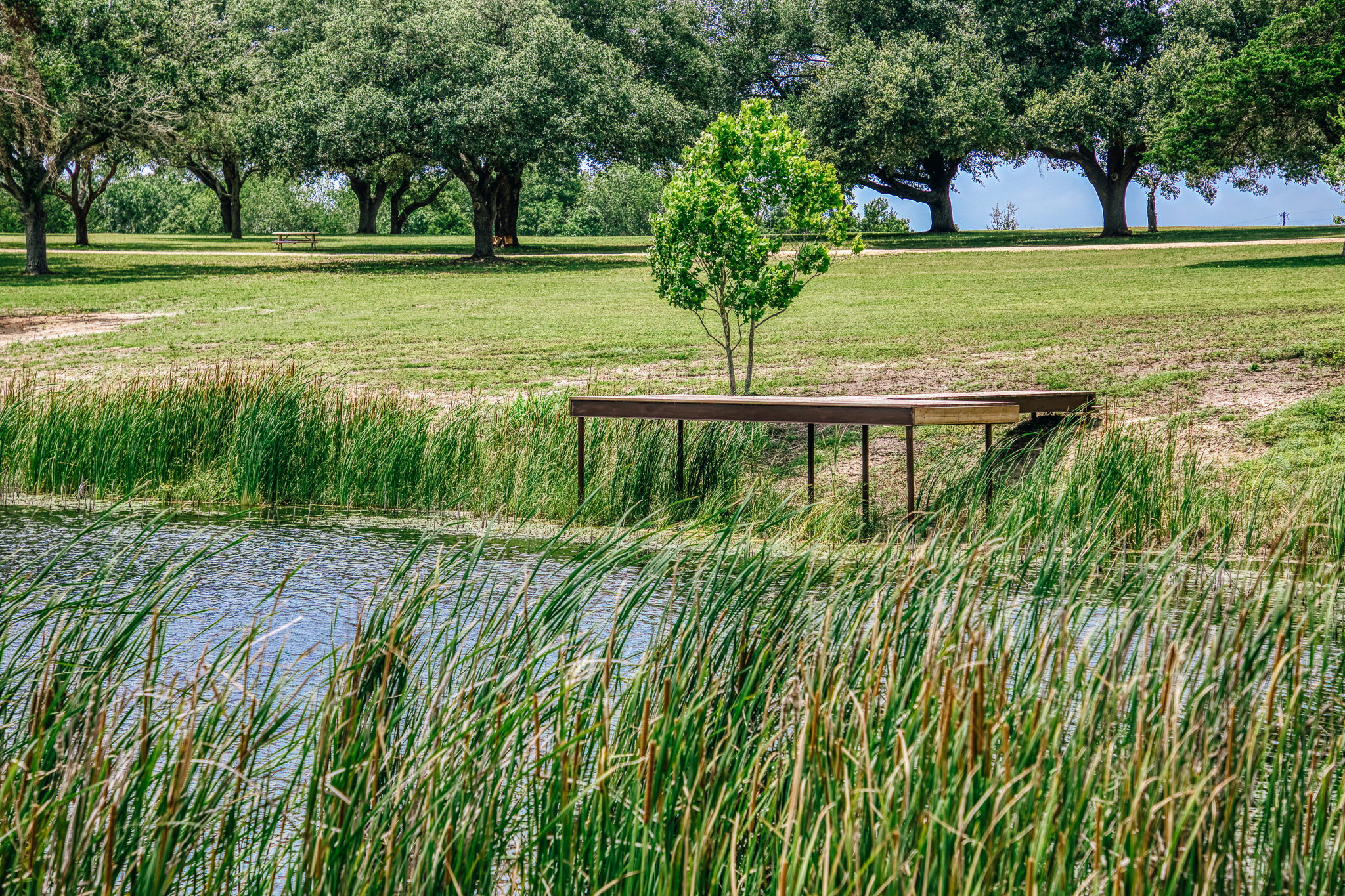 Dock with pond reflection — Lot 3, The Clearing