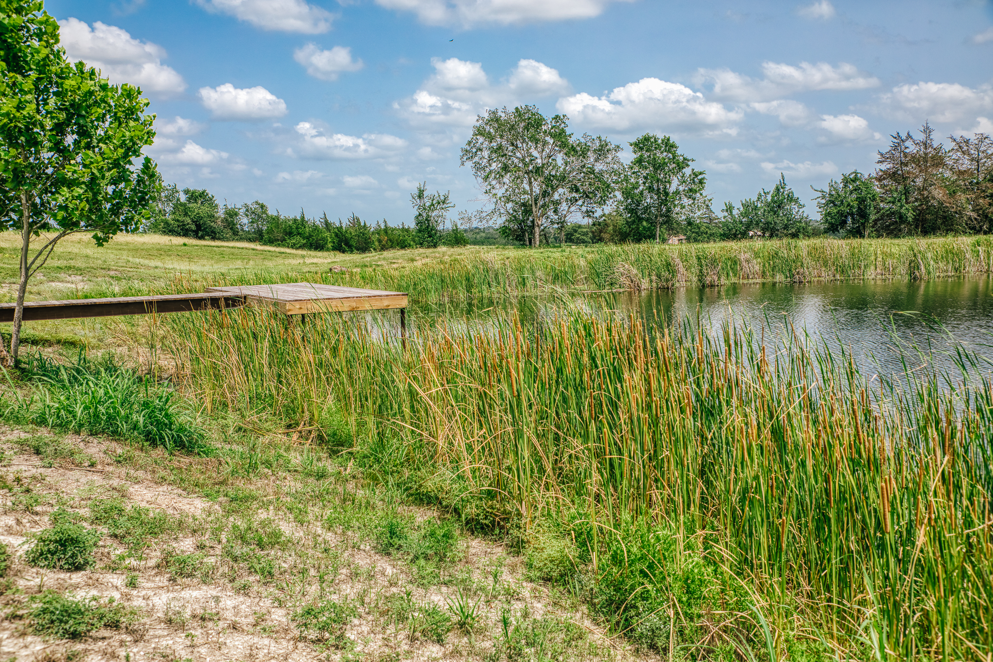Dock with reeds, natural framing — Lot 3